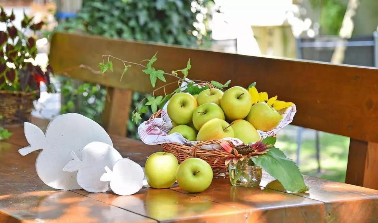 Wohnung Gravensteiner Schnalserhof Laces Kültér fotó